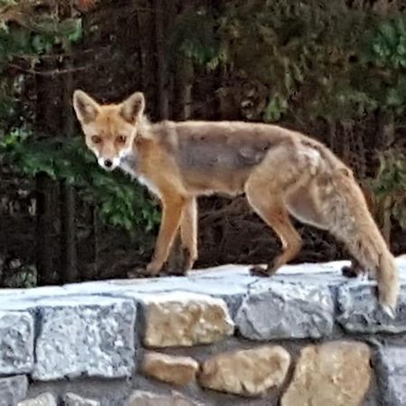 오리뇽 Playasonabia 아파트 외부 사진